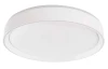 Stropní/nástěnné LED osvětlení Ilvi 50 cm, stmívatelné s ovladačem