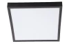 Stropní LED osvětlení Puccy 17x10 cm, černé