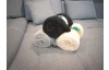 Deka Kuschelteddy 150x200 cm, přírodní