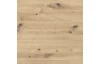 Vitrína Trondheim 64 cm, dub artisan/dub černý