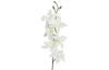 Umělá květina Orchidej 64 cm, krémová