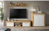 TV skříňka Jana, 160 cm, dub wotan/bílá