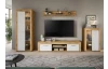 TV skříňka Jana, 160 cm, dub wotan/bílá