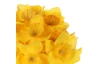 Umělá kytice Narcisky v pugetu 34 cm, žlutá