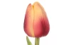 Umělá květina Tulipán 34 cm, růžovo-žlutá