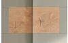 Šatní skříň Simada 270 cm, dub artisan/šalvějově zelená