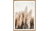 Rámovaný obraz Pampas 50x70 cm, dub artisan
